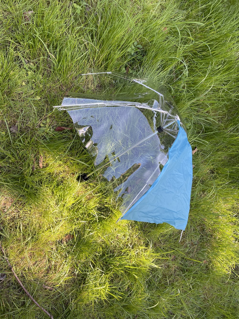 a clear umbrella with one blue panel