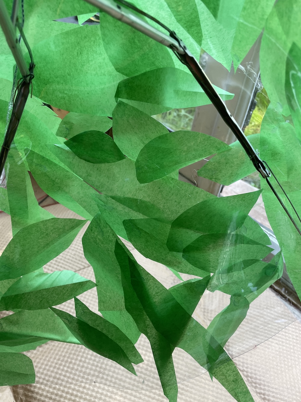 The umbrella from the inside with pleasing leaf overlaps
