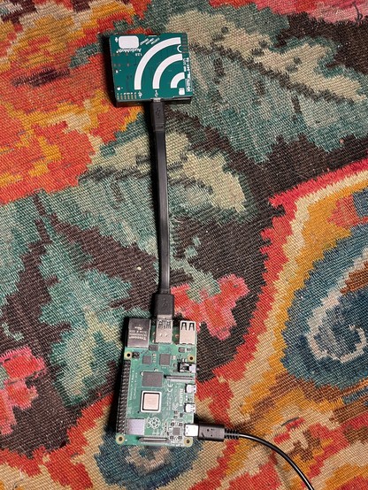 An audiomoth mic attached to a raspberry pi 4 with a short flat usb cable against a brightly coloured rug