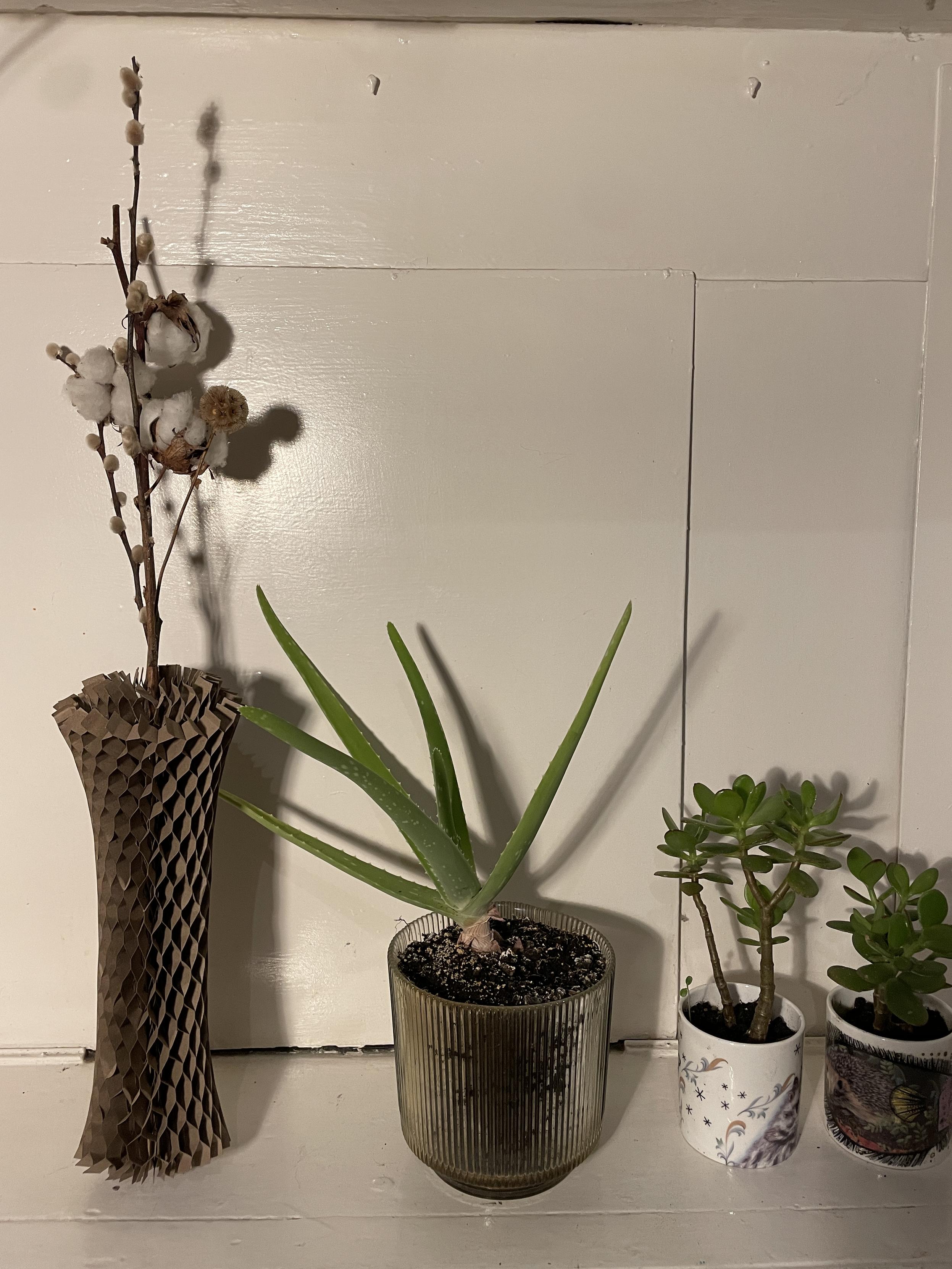 Some cool cardboard packaging twisted into a vase shape with some dried flowers in it next to some succulants