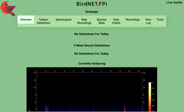 A screenshot of birdnet pi's web interface, no detections yet