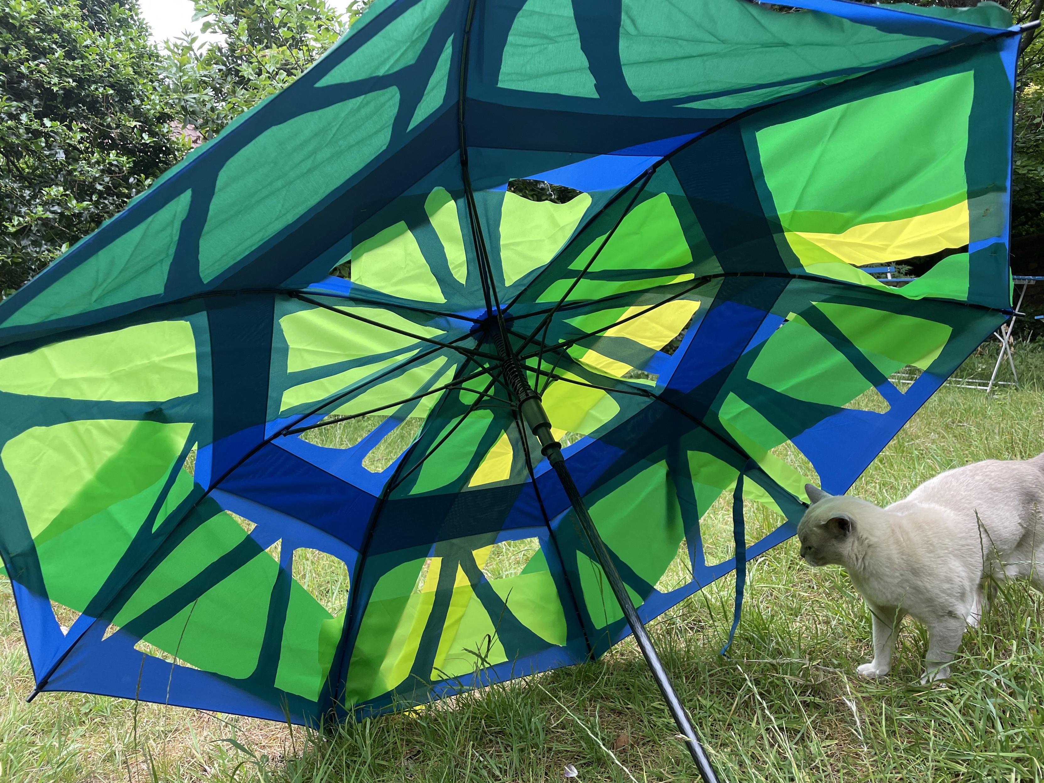 A large blue umbrella with large holes cut in it decorated with green and yellow segments. It's in the garden and a cream cat looks on